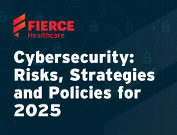 Cybersecurity: Risks, Strategies and Policies for 2025​