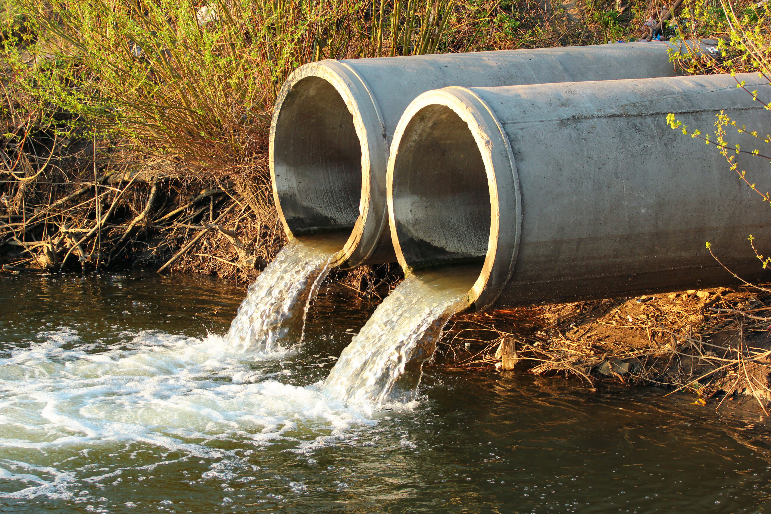 PFAS Water Contamination Map Shows States With Highest ‘Forever Chemicals’