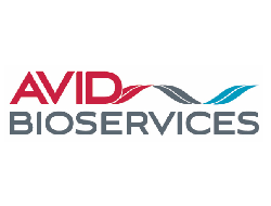 How to make scalability your strategic advantage